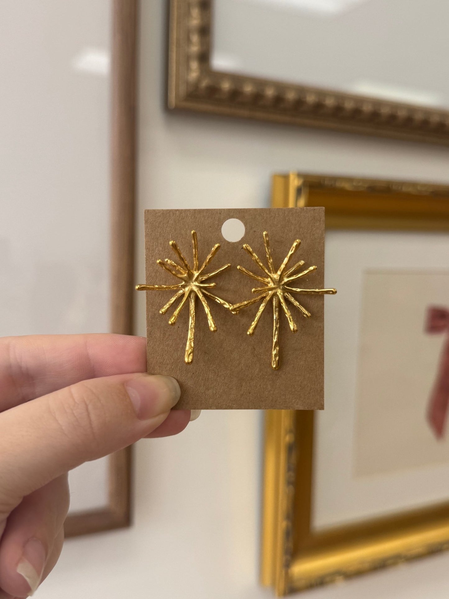 Firework Stud Earrings Earrings