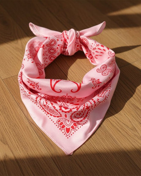 Pink & Red Paisley Scarf Scarf
