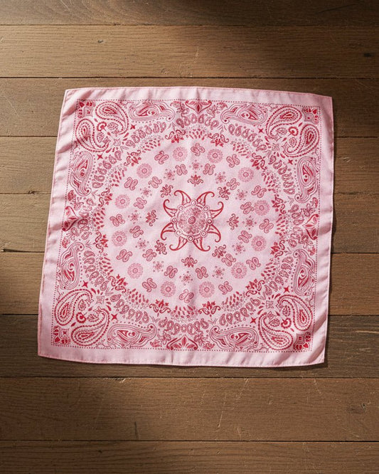 Pink & Red Paisley Scarf Scarf
